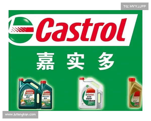 嘉实多professional 嘉实多professional