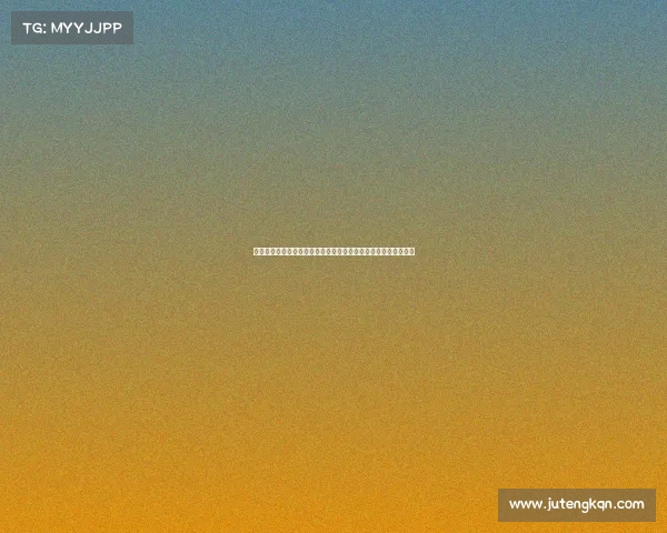 林志颖与他的赛车队共同征战多场国际赛事的心路历程与辉煌战绩